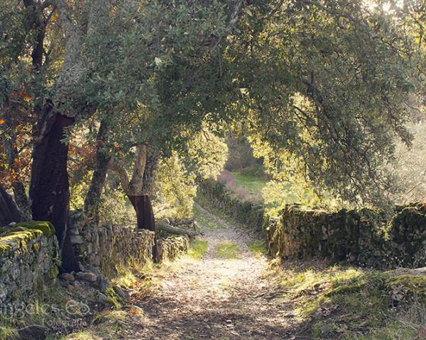 Villa Sierra De Gata Santibanez el Alto Eksteriør billede