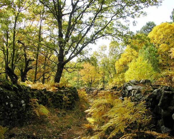 Villa Sierra De Gata Santibanez el Alto Eksteriør billede